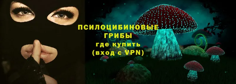 Псилоцибиновые грибы Magic Shrooms  Гороховец 